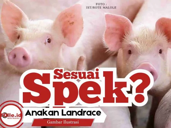 IMG-20250924-WA0084(1)