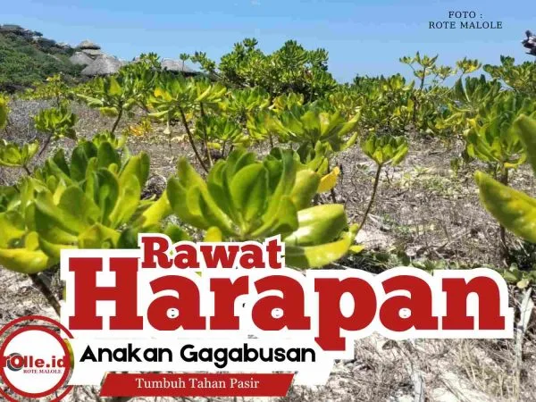 IMG-20250929-WA0088(1)