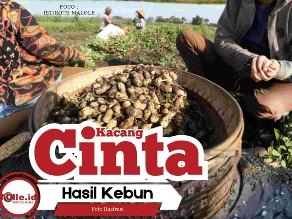 1_20251022_234725_0000